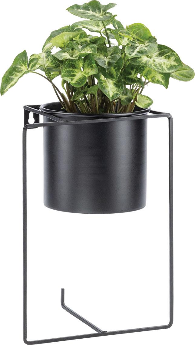 Plant pot Hay I