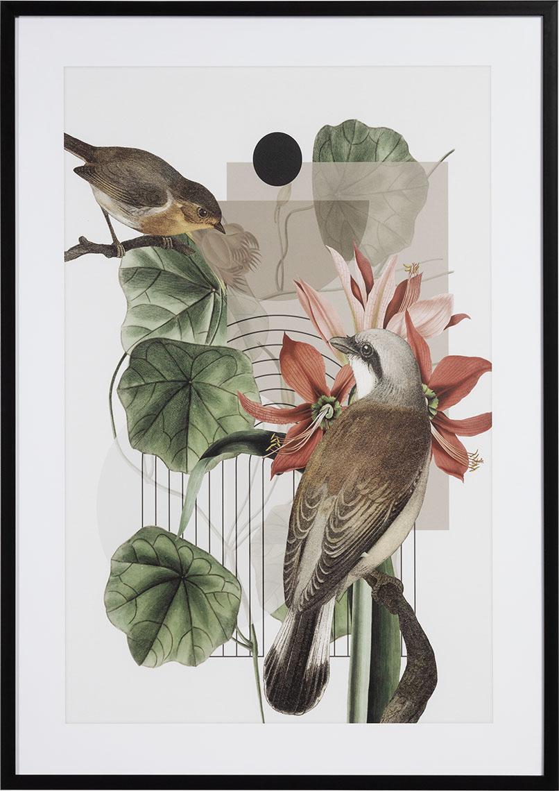 Grafika Verde III