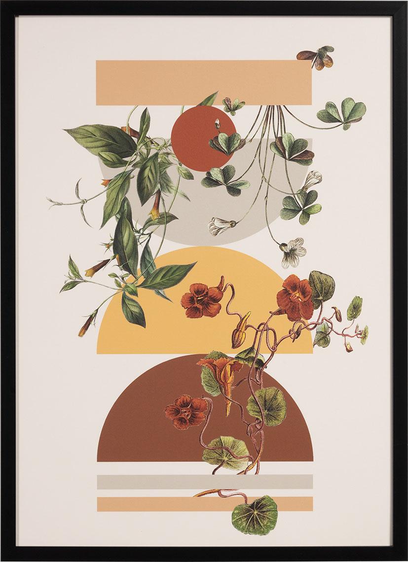 Grafika Quello I