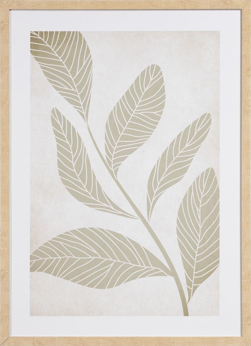 Grafika Fiore II