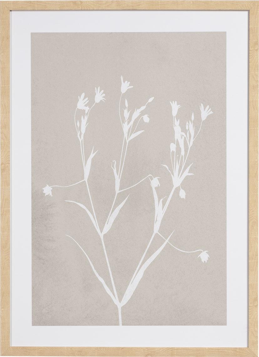 Grafika Fiore III