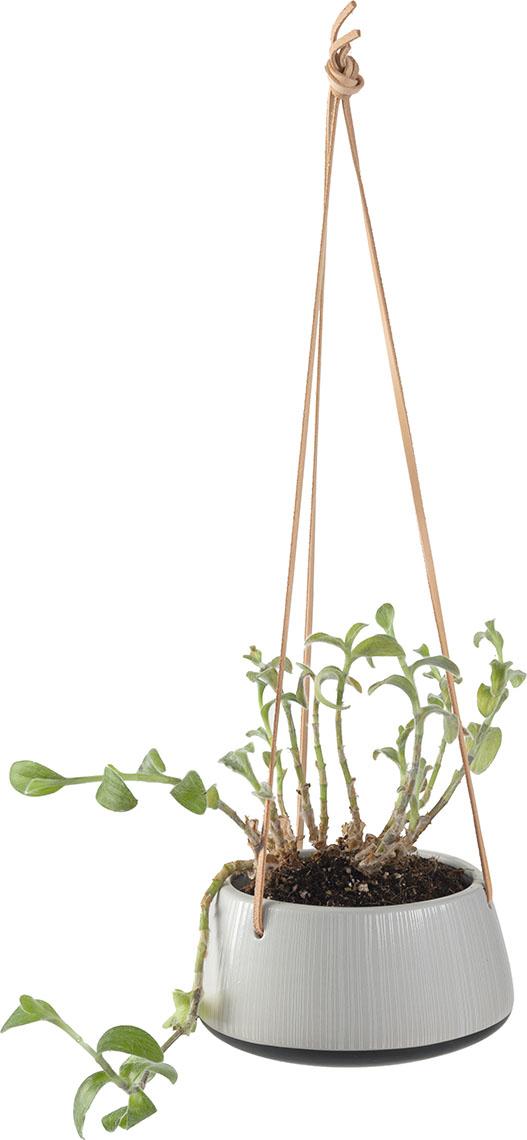 Small plant pot Gora