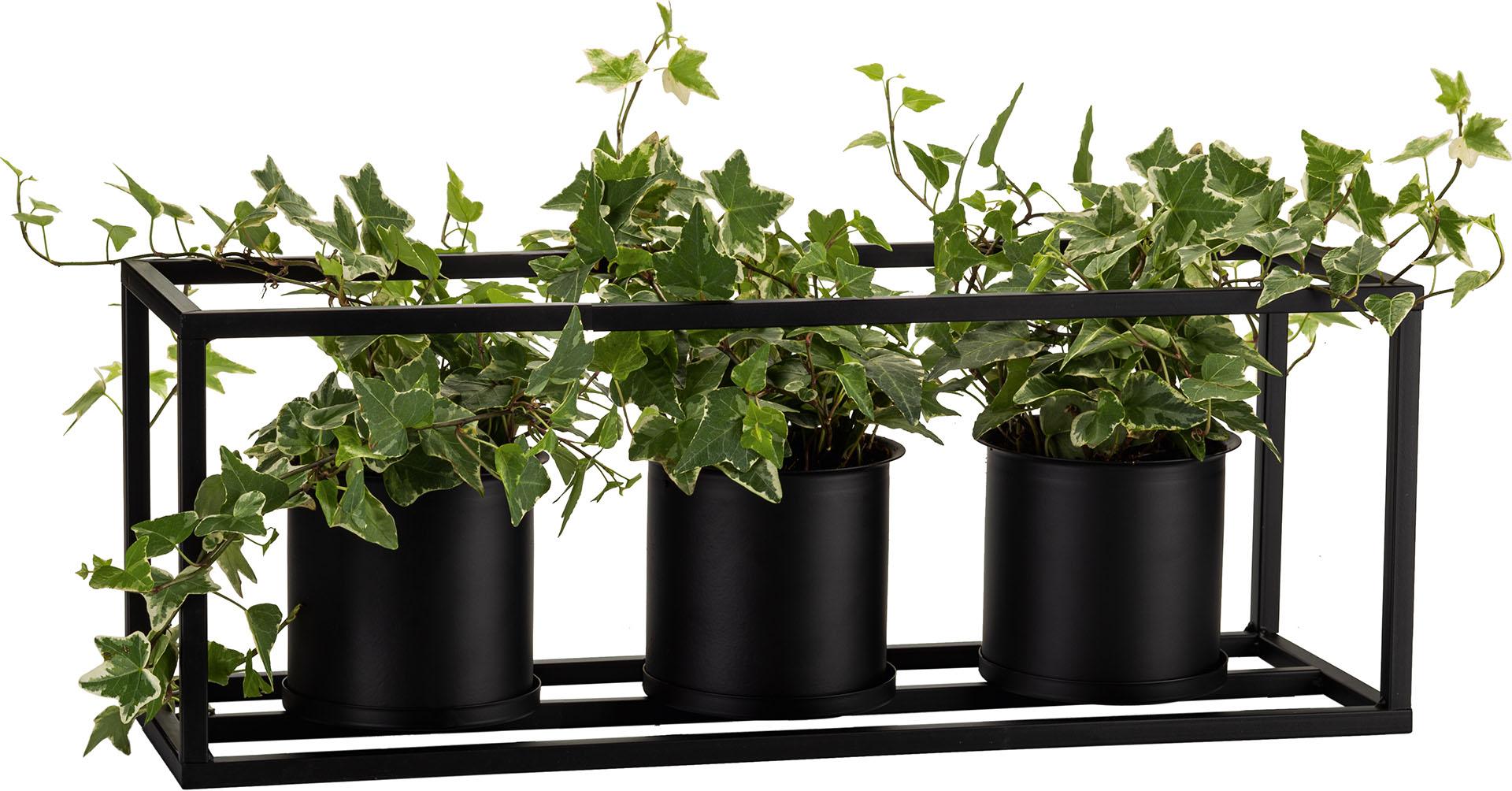 Plant pot Hip