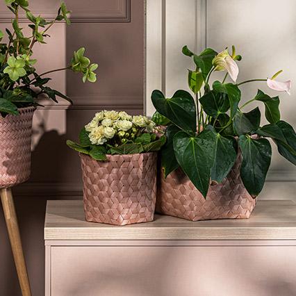 Small basket Weni Copper Blush arrangement