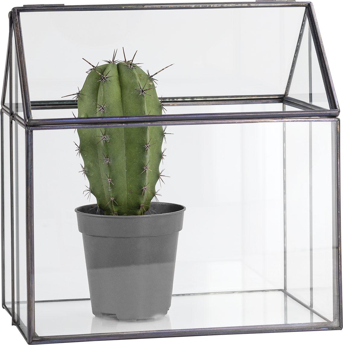 Mini greenhouse Nuo