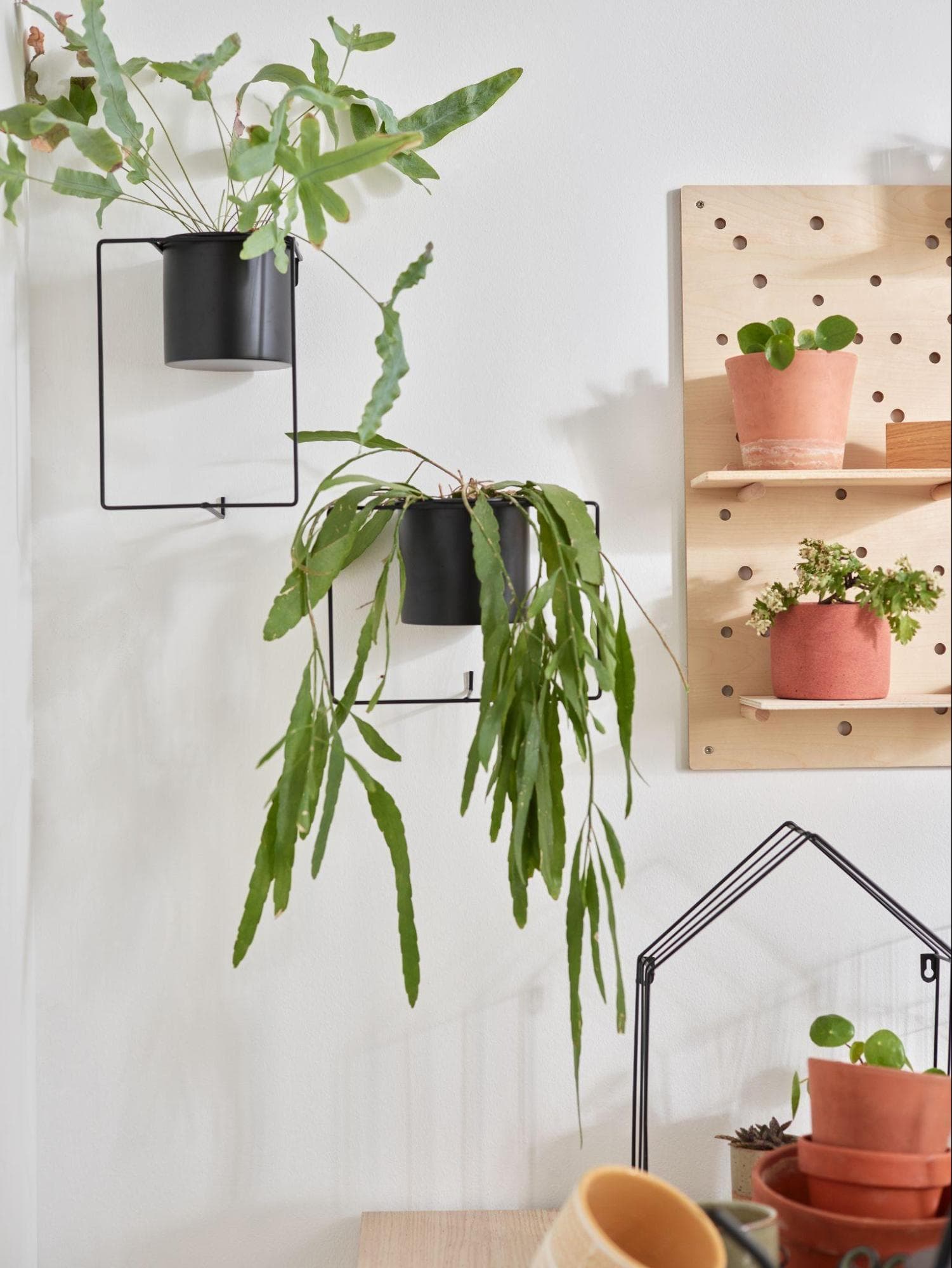 wiszące osłonki na rośliny - alternatywa dla półek