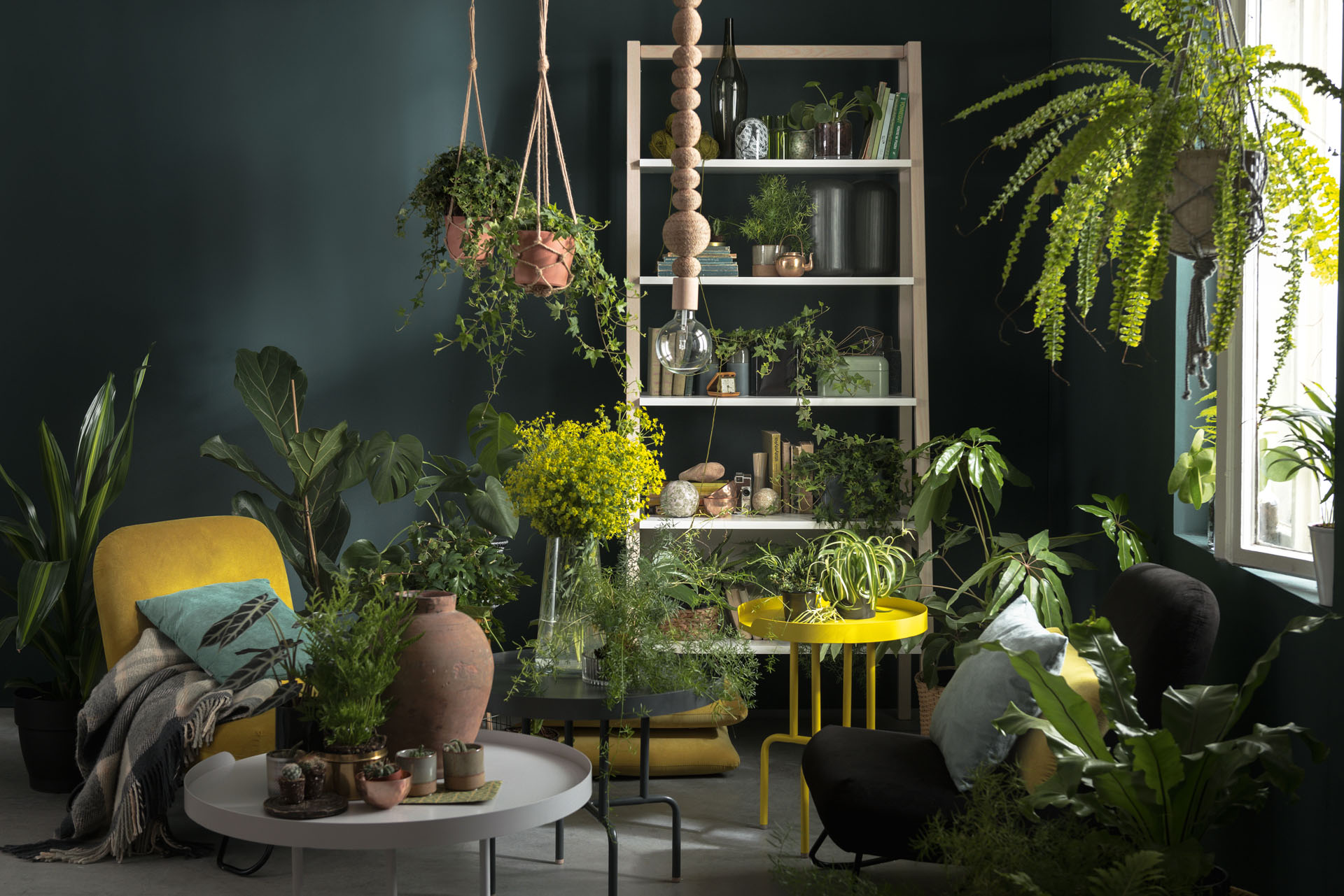 Rośliny oczyszczające powietrze: naturalne, zielone filtry dla każdego wnętrza