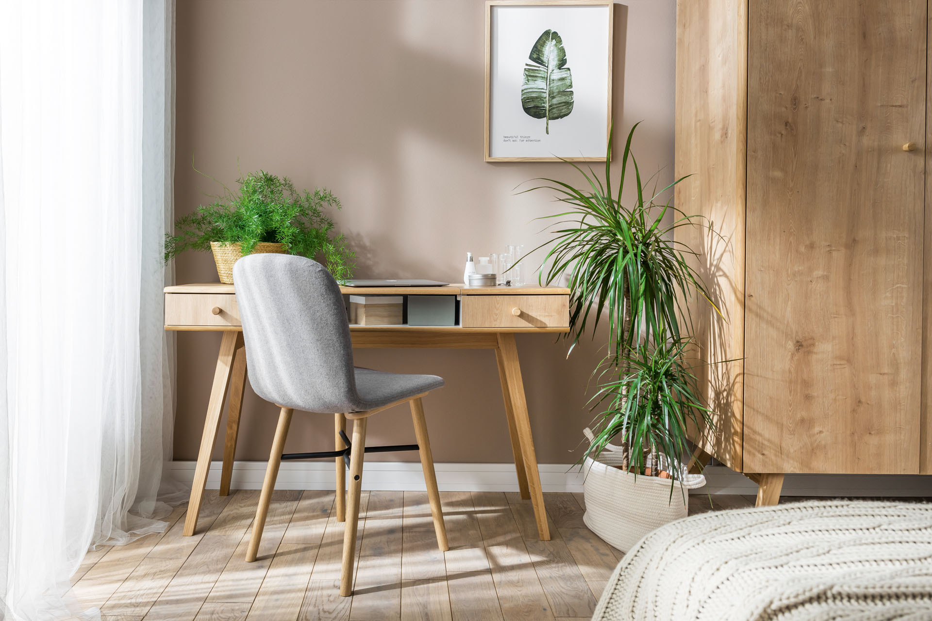 Palma doniczkowa, czyli sposób na tropiki we wnętrzach