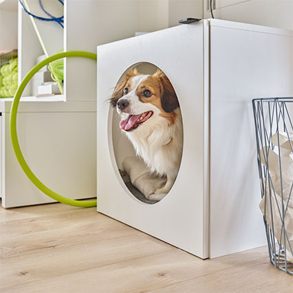 Cabinet for pets Young Users arrangement