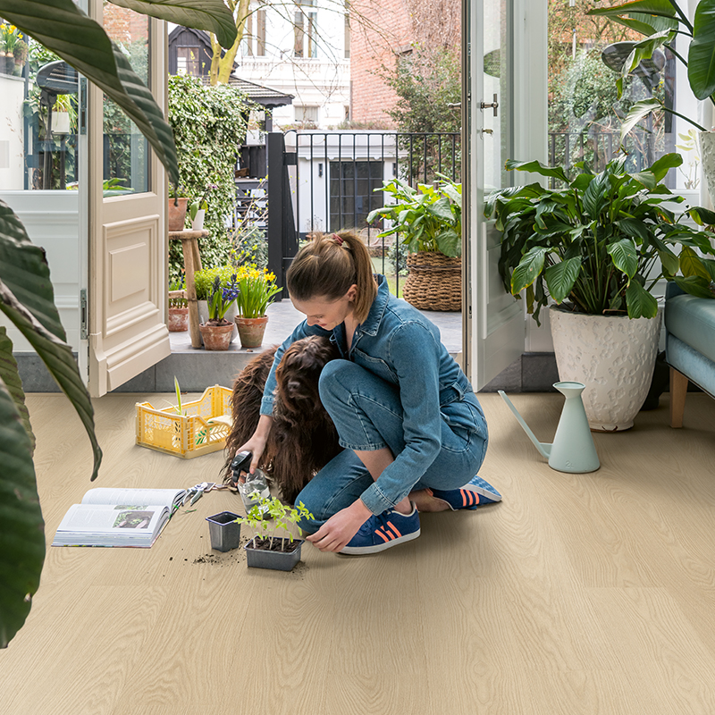 Podłoga winylowa Quick Step Blos Dąb mleczny AVSPU40277 ze zintegrowanym podkładem arrangement