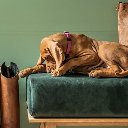 Cushion for bench with drawer Nature arrangement