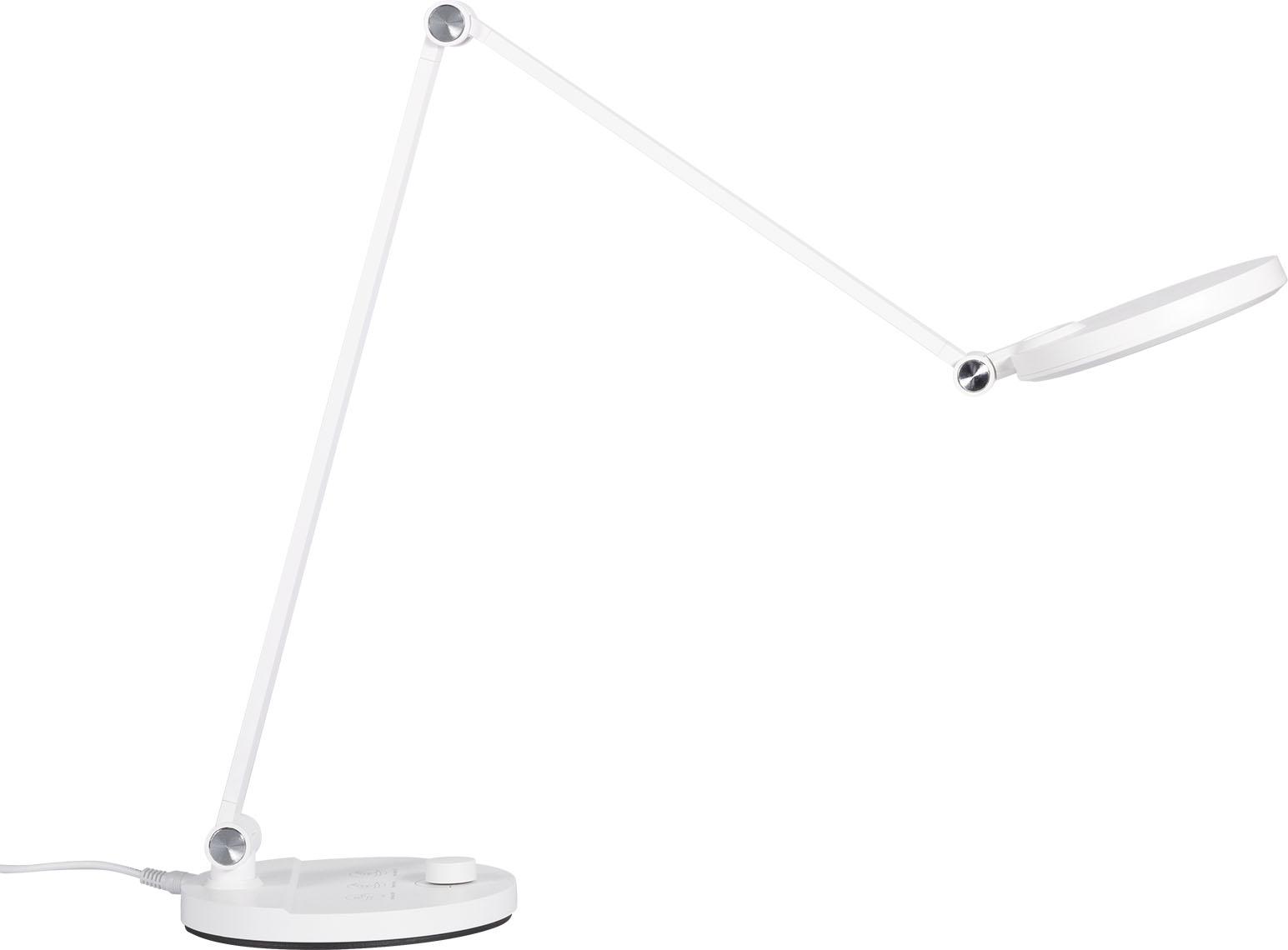 Ester desk lamp