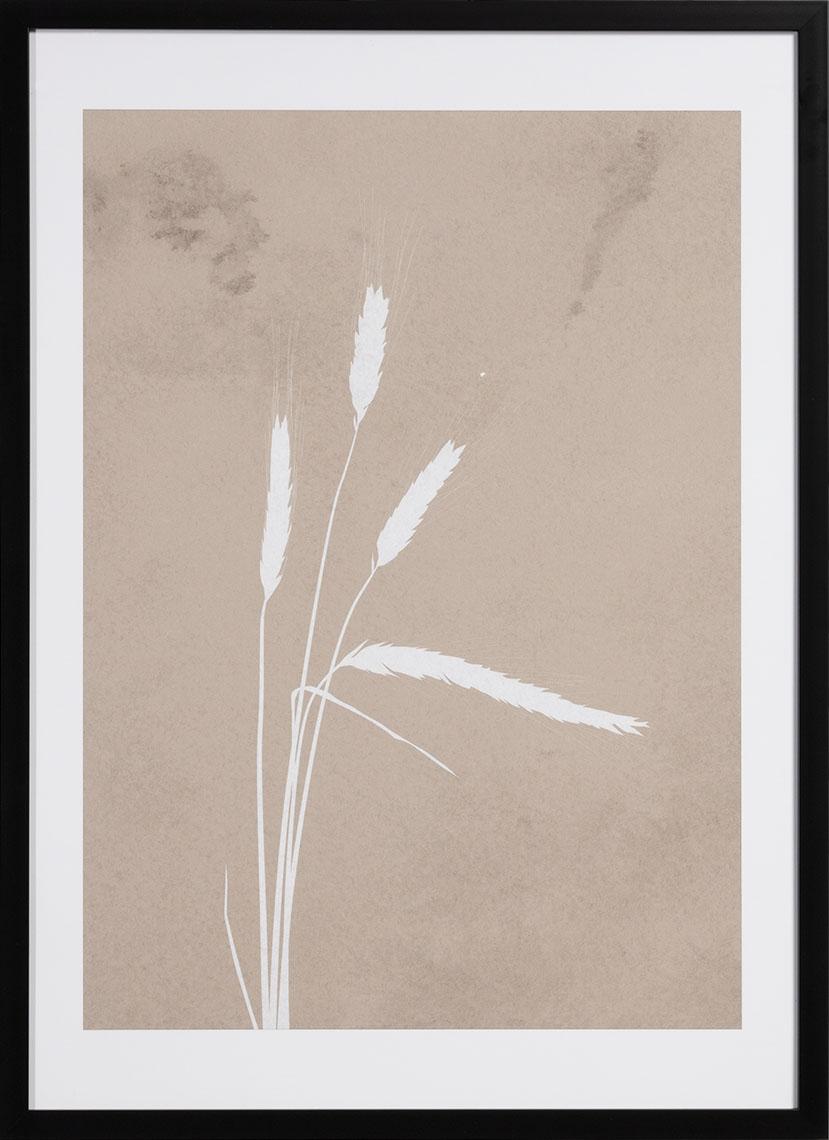 Campo Graphics I