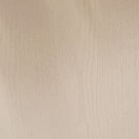 Beż 455 (NCS S 2005-Y50R)