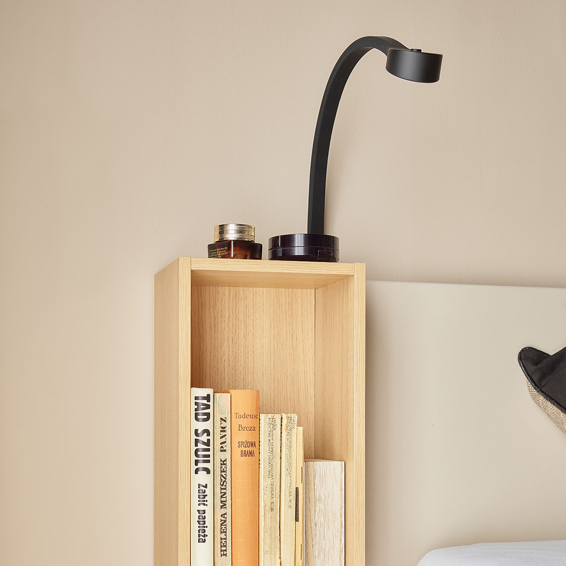 Lamp Elastic arrangement