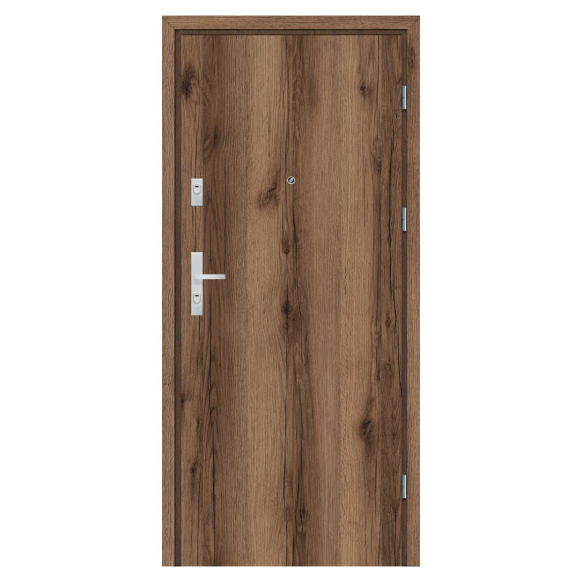 Drzwi wejściowe C-30 W0