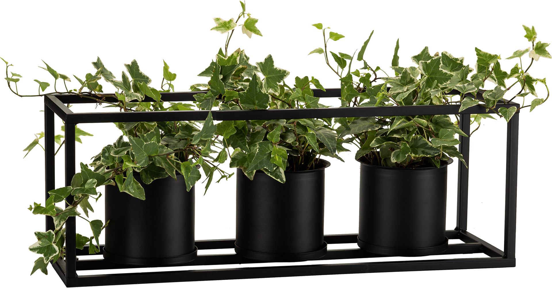 Plant pot Hip