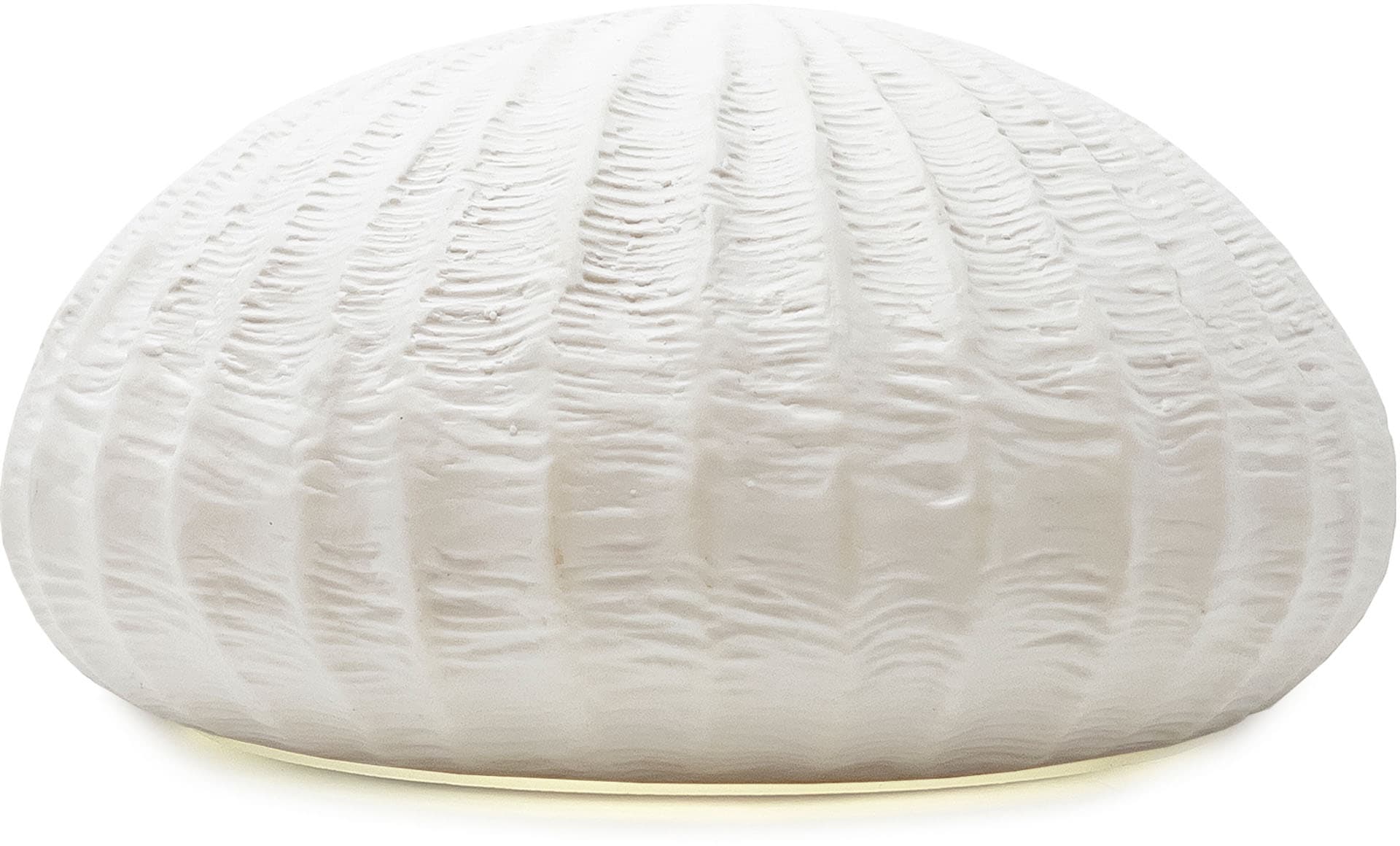 Dyfuzor ultradźwiękowy Oceania