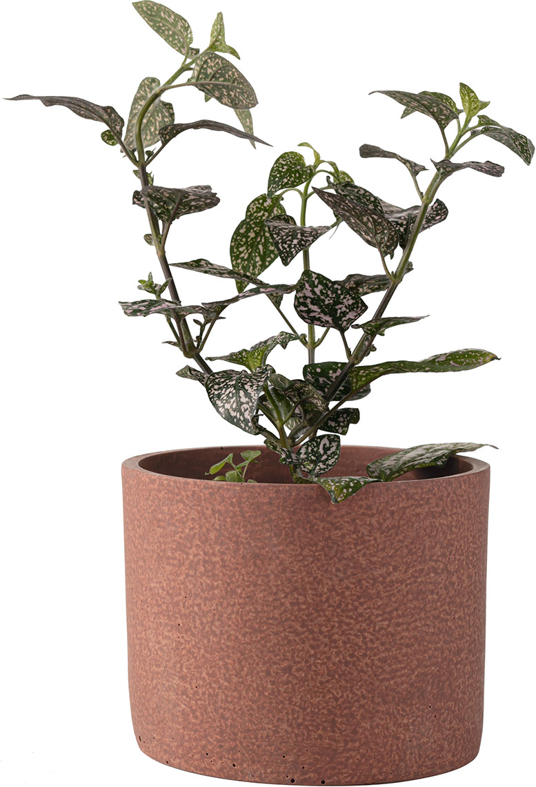 Osłona na doniczkę mała Redo