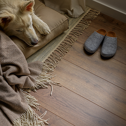 Panele podłogowe wodoszczelne VOX Querra Magna Dąb Albero aranżacja
